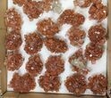 Lot: to Twinned Aragonite Clusters - Pieces #134141-1